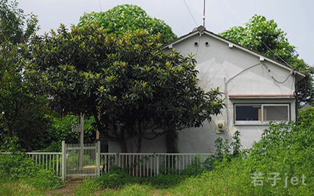 ダニエラの休日