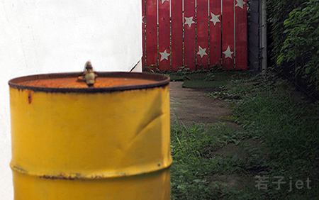 ダニエラの休日