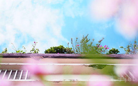 キッチュa美ら美ら♡沖縄編