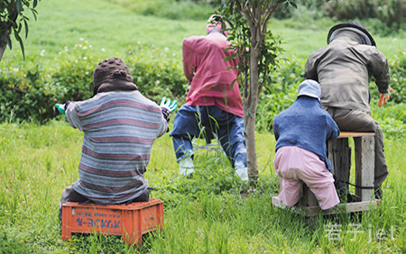 キッチュa美ら美ら♡沖縄編