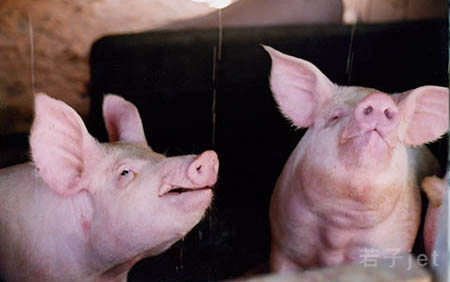 浮くセンチメンタル