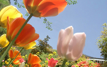 浮くセンチメンタル