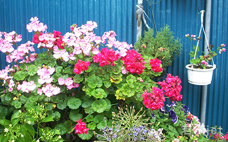 浮くセンチメンタル